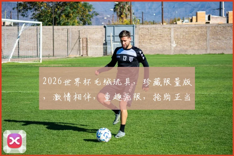 2026世界杯毛绒玩具，珍藏限量版，激情相伴，童趣无限，抢购正当时