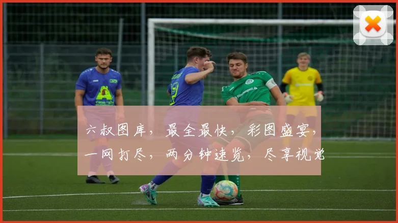 六叔图库，最全最快，彩图盛宴，一网打尽，两分钟速览，尽享视觉盛宴，不容错过