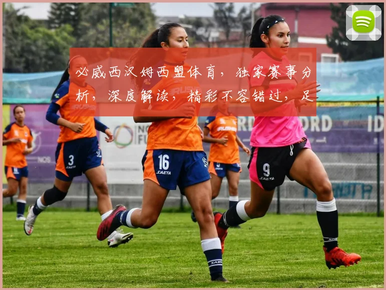 必威西汉姆西盟体育，独家赛事分析，深度解读，精彩不容错过，足球迷必看三重礼