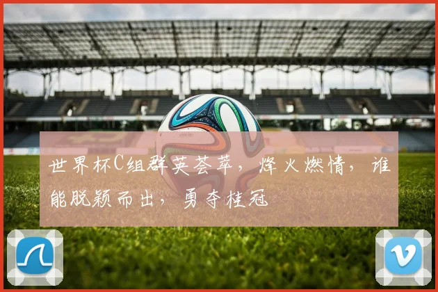 世界杯C组群英荟萃，烽火燃情，谁能脱颖而出，勇夺桂冠
